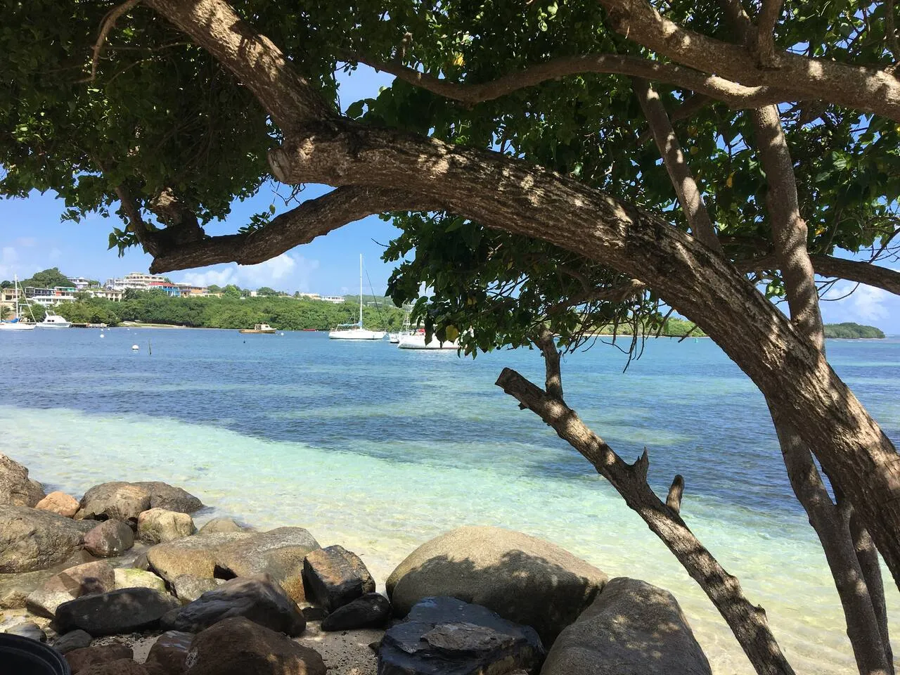 Las Croabas bay, a five-minute walk from Reef Studio