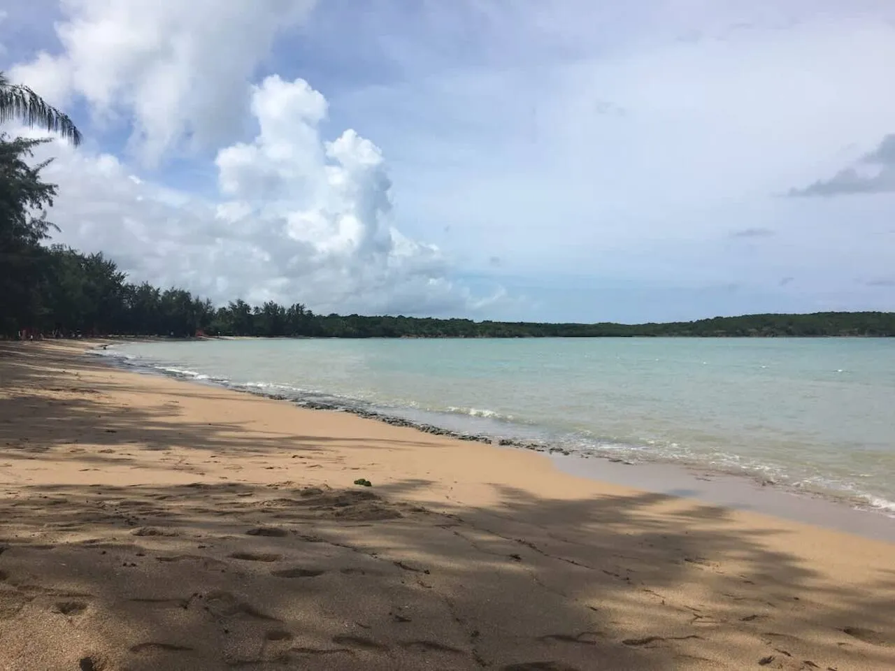 Seven Seas Beach, five minutes away
